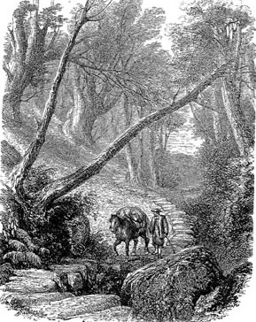 Engraving of packhorse track in regular use